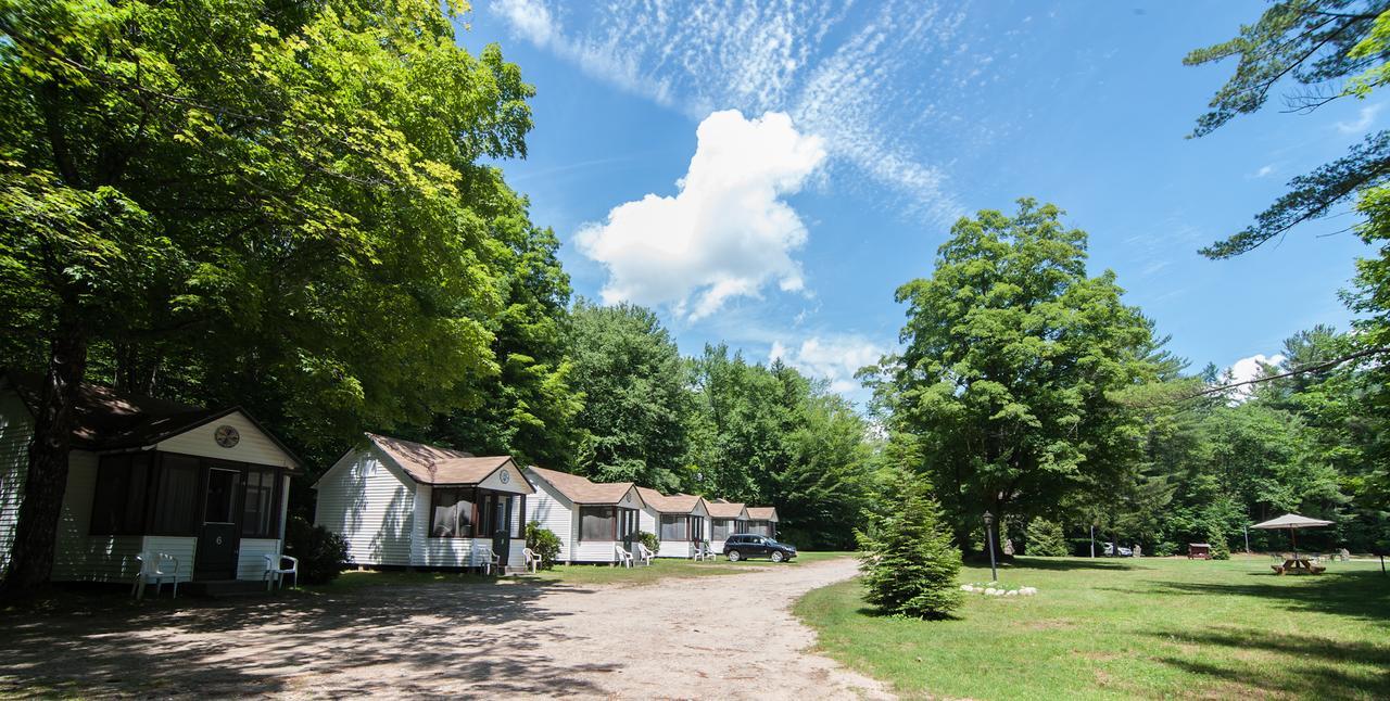 Profile Motel & Cottages Lincoln Exterior photo